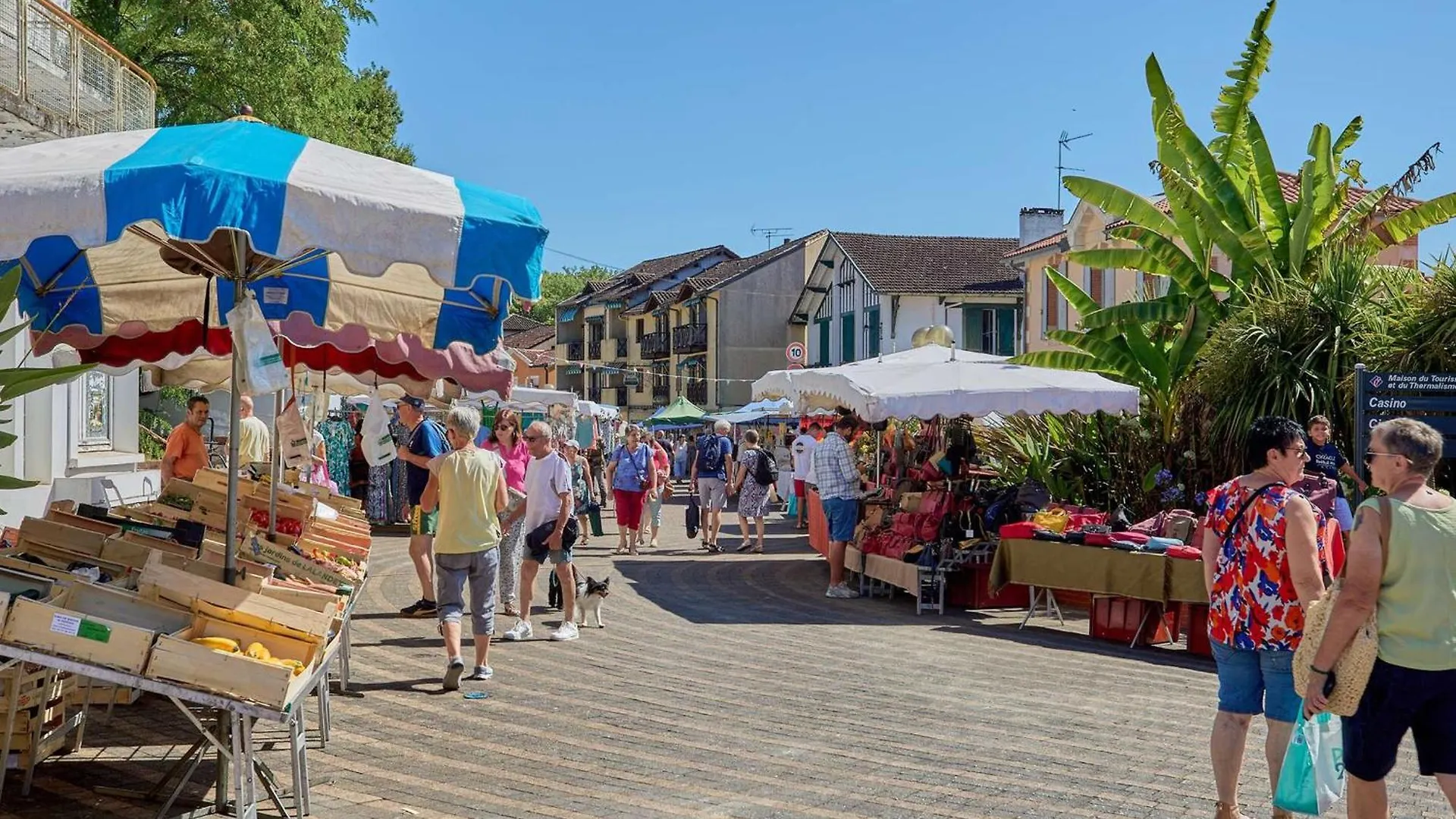 Διαμέρισμα Studio Lumineux Et Calme Avec Wifi, Animaux Acceptes - Fr-1-841-37 Barbotan-les-Thermes